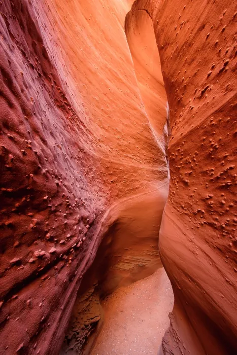 Framed Print : Slot canyon at Dry Fork Coyote Gulch in Grand Staircase-Escalante National Monument, Utah, USA Framed Print : Slot canyon at Dry Fork Coyote Gulch in Grand Staircase-Escalante National Monument, Utah, USA