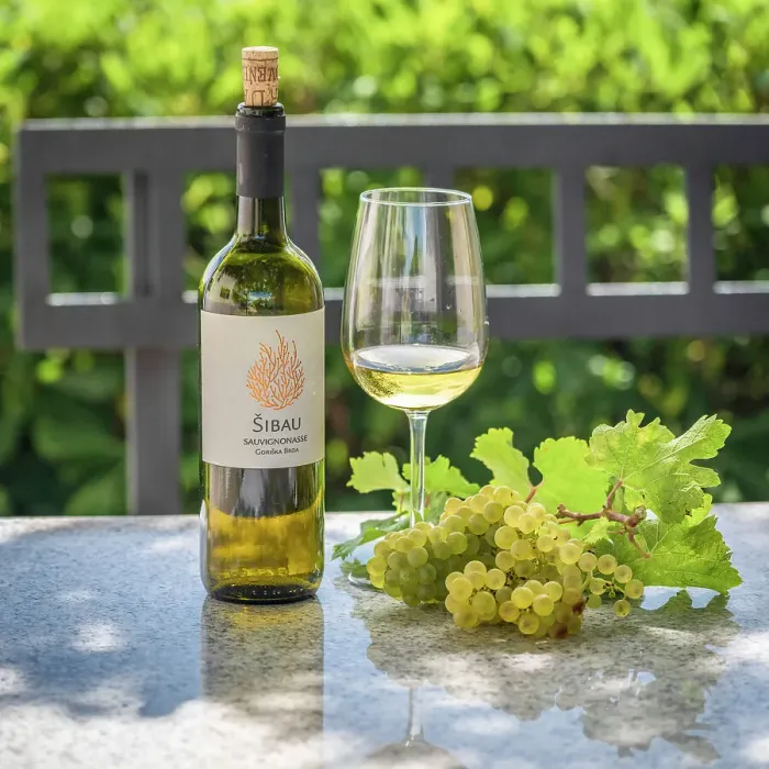 Framed Print : Slovenia, Brda. A tasting of the local wine in a beautiful landscape