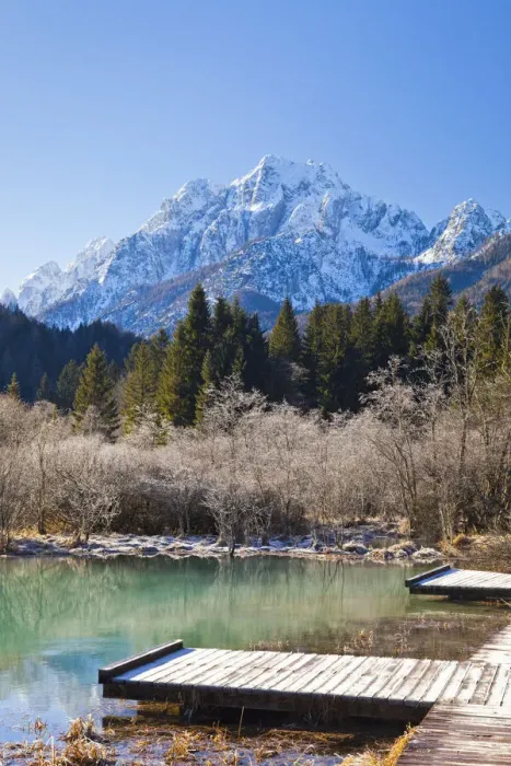 Framed Print : Slovenia, Gorenjska Region, Triglav National Park. Zelenci Swamps near Kranjska Gora Framed Print : Slovenia, Gorenjska Region, Triglav National Park. Zelenci Swamps near Kranjska Gora