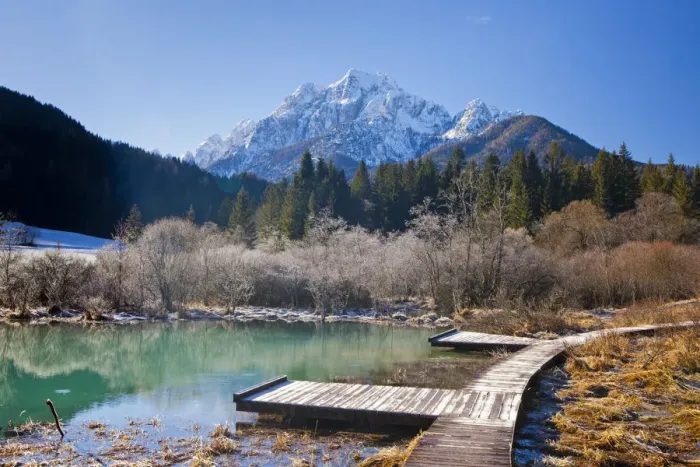 Framed Print : Slovenia, Gorenjska Region, Triglav National Park. Zelenci Swamps near Kranjska Gora Framed Print : Slovenia, Gorenjska Region, Triglav National Park. Zelenci Swamps near Kranjska Gora