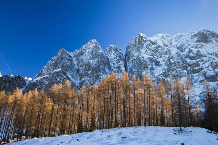 Framed Print : Slovenia, Gorenjska Region, Triglav National Park Framed Print : Slovenia, Gorenjska Region, Triglav National Park