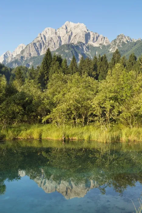Framed Print : Slovenia, Gorenjska Region, Triglav National Park. Zelenci Swamps near Kranjska Gora