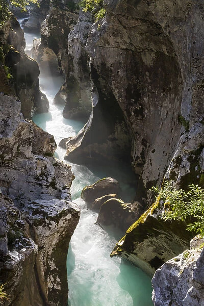 Slovenia, Goriska Region, Bovec. The Soca Gorge at Velika Korita
