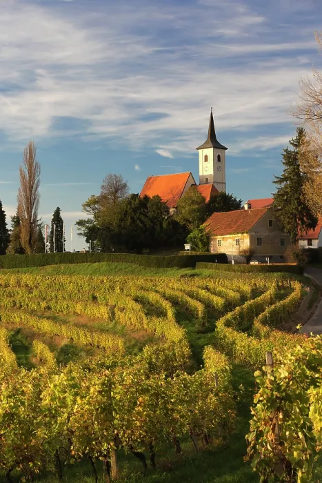 Framed Print : Slovenia, Prlekija, vineyards surrounding the Church of the sorrowful Mother of God Framed Print : Slovenia, Prlekija, vineyards surrounding the Church of the sorrowful Mother of God