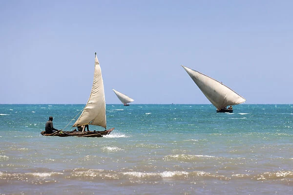 Three small dhows are out fishing near the coast, Zanzibar, Tanzania
