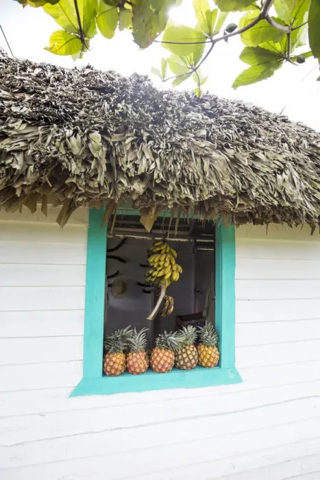 Framed Print : Small hut selling fruit, Vinales, Pinar del Rio Province, Cuba Framed Print : Small hut selling fruit, Vinales, Pinar del Rio Province, Cuba