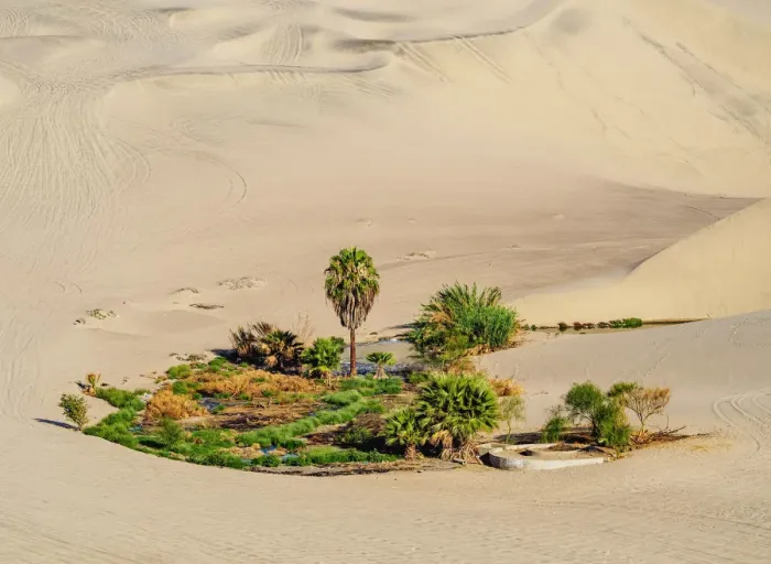 Framed Print : Small Oasis near Huacachina, Ica Region, Peru Framed Print : Small Oasis near Huacachina, Ica Region, Peru