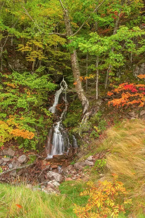 Framed Print : Small roadside waterfall on Cape Breton, in autumn, Cape North, Nova Scotia, Canada Framed Print : Small roadside waterfall on Cape Breton, in autumn, Cape North, Nova Scotia, Canada