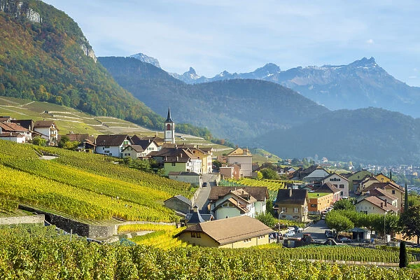 Small town of Yvorne surrounded by vineyards, Vaud Canton, Switzerland