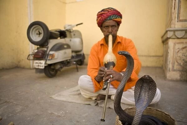 Snake Charmer, Jaipur, Rajasthan, India