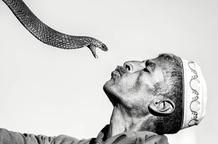Framed Print : Snake charmer and his snake, Djemma el Fna, Marrakech, Morocco