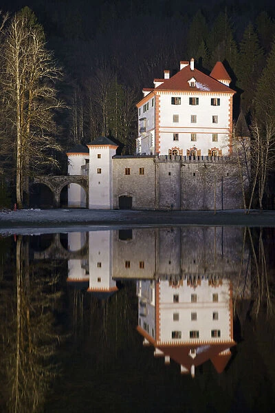 Sneznik Castle reflected in winter floodwater, near Kozarisce, Notranjska, Slovenia