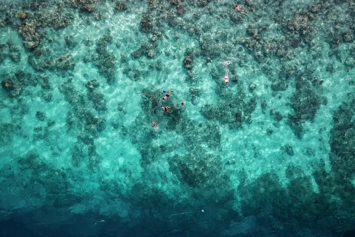 Framed Print : Snorkeling in Gili Trawangan, Lombok, Indonesia. Directly above Framed Print : Snorkeling in Gili Trawangan, Lombok, Indonesia. Directly above