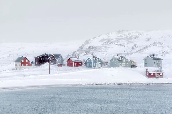 Snow blizzard over the village of Veines and arctic sea, Kongfjord, Varanger Peninsula