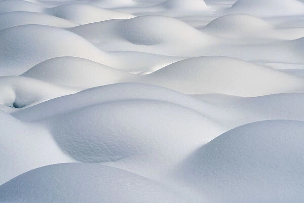 Snow Bumps, Jasper National Park, Aberta, Canada