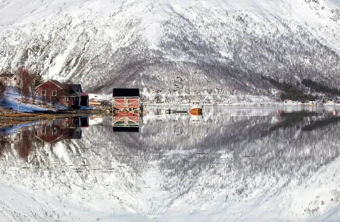 Framed Print : Snow-covered mountains with a perfect reflection in flat calm waters of Sorfjorden, island of Kvaloya, near Tromso, Norway Framed Print : Snow-covered mountains with a perfect reflection in flat calm waters of Sorfjorden, island of Kvaloya, near Tromso, Norway