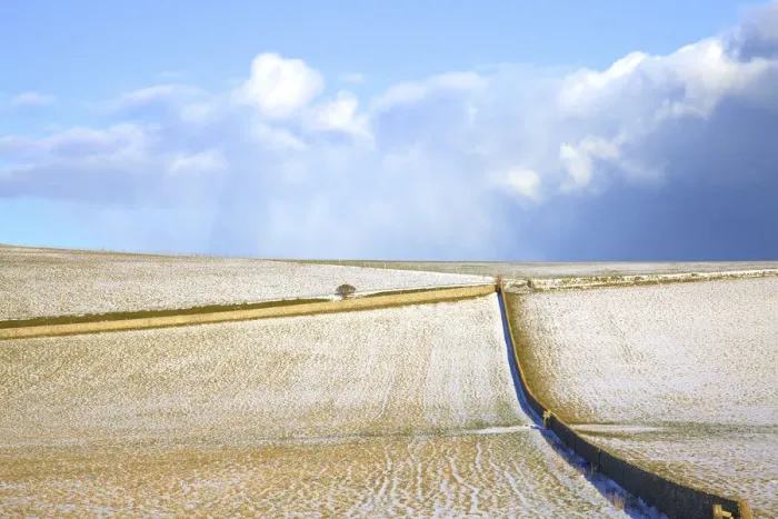 Framed Print : Snow Covered South Downs Farm Land, East Dean, East Sussex, United Kingdom Framed Print : Snow Covered South Downs Farm Land, East Dean, East Sussex, United Kingdom