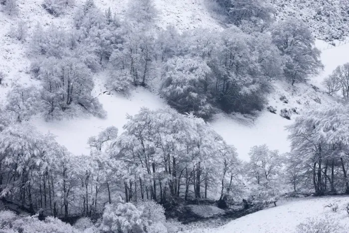 Framed Print : Snow covered trees in The Punchbowl, Exmoor, Somerset, England. Winter Framed Print : Snow covered trees in The Punchbowl, Exmoor, Somerset, England. Winter