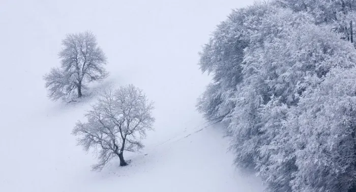 Framed Print : Snow covered trees in The Punchbowl, Exmoor, Somerset, England. Winter Framed Print : Snow covered trees in The Punchbowl, Exmoor, Somerset, England. Winter