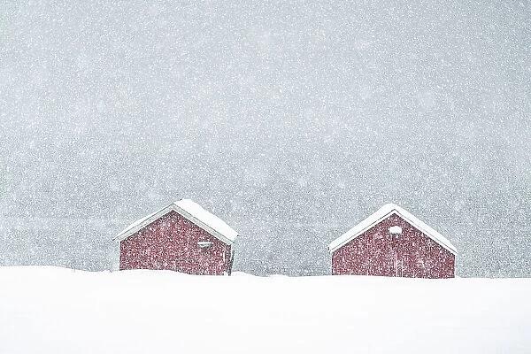 Snow storm over traditional red cabins by the sea, Troms county, Norway