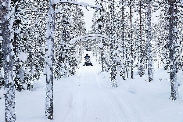 Snowmobiles on forest road, Kuusamo, Finland