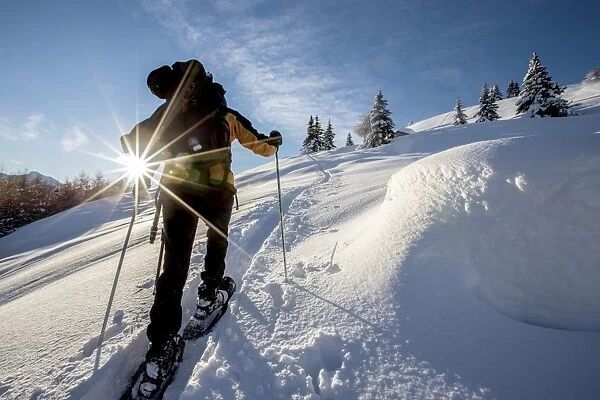 Snowshoe hiker walking in the snowy landscape Gerola Valley Valtellina Orobie Alps