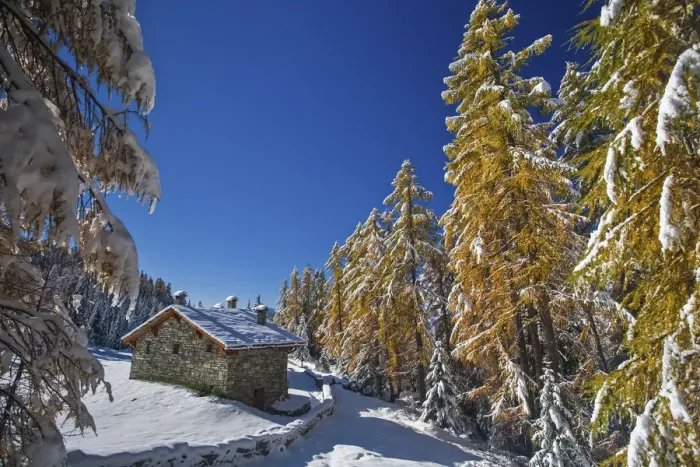 Framed Print : Snowy autumn at Malenco valley, Lombardy, Italy Framed Print : Snowy autumn at Malenco valley, Lombardy, Italy