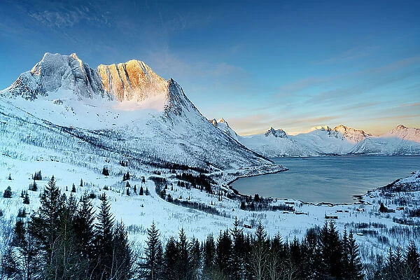 Snowy forest with Breidtinden mountain and fishing village of Mefjordbotn on background, Mefjorden, Senja, Troms county, Norway