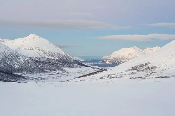 Snowy landscape on Kvaloya near Tromso, Troms region, Norway