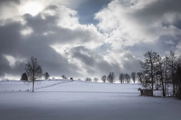 Snowy landscape near Bad Bayersoien, Upper Bavaria, Bavaria, Germany