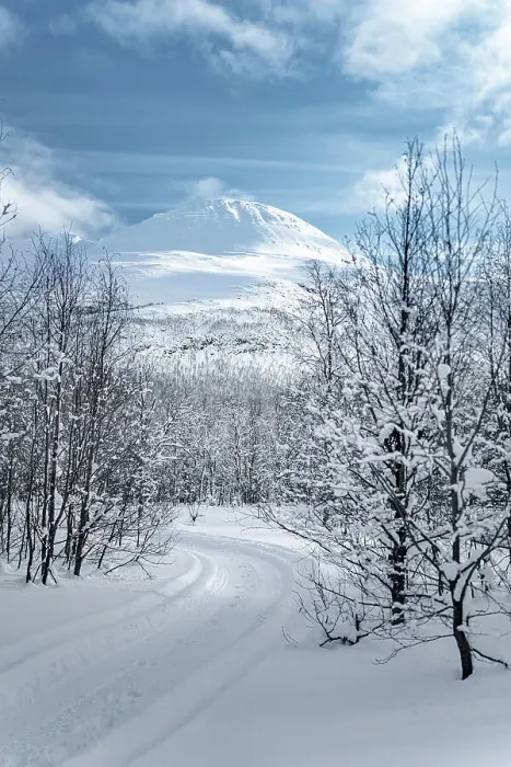 Framed Print : Empty snowy road into a frozen forest, Lyngen Alps, Tromso, Troms og Finnmark, Norway Framed Print : Empty snowy road into a frozen forest, Lyngen Alps, Tromso, Troms og Finnmark, Norway
