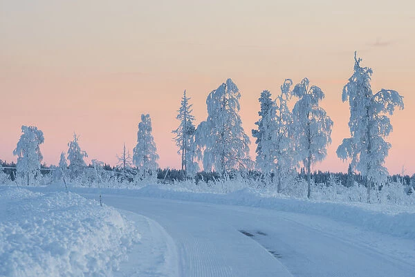 Snowy road during sunset, Kiruna, Norrbotten County, Lapland, Sweden, Europe