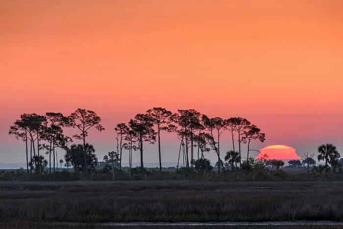 Framed Print : Snrise over the salt marshesu, St. Marks NWR, Florida, USA Framed Print : Snrise over the salt marshesu, St. Marks NWR, Florida, USA