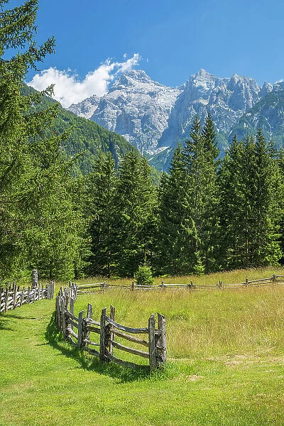 Soca valley above Trenta, Triglav National Park, Slovenia