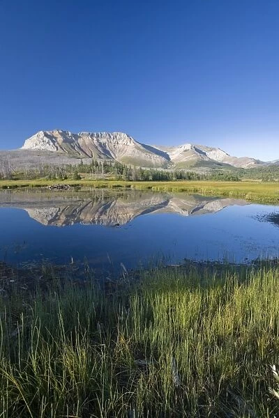 Sofa Mountain, Waterton Lakes National Park, Alberta, Rockies, Canada