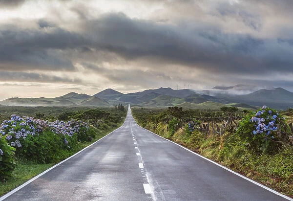 An empty and solitary road. Pico island, Azores islands, Portugal