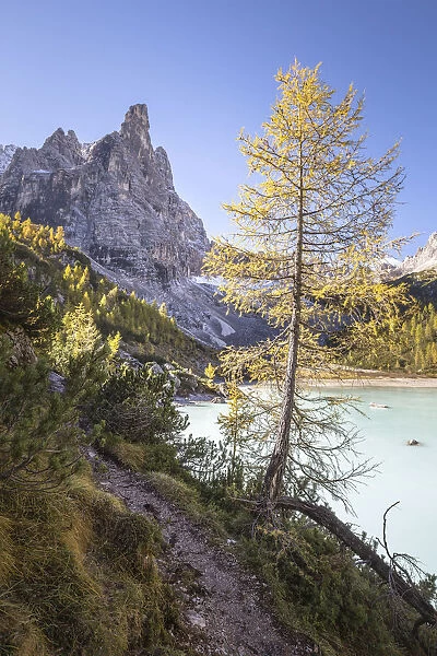 Sorapis lake during fall season, Cortina d Ampezzo, Belluno district, Veneto, Italy