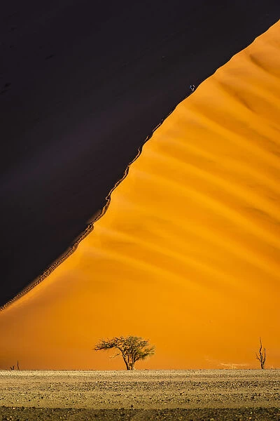 Sossusvlei, Namib-Naukluft National Park, Namibia, Africa. Giant sand dunes