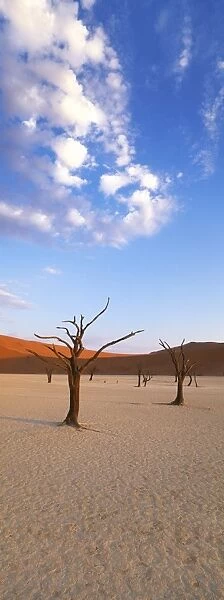 Sossusvlei, Namib-Naukluft Park, Namibia, Africa