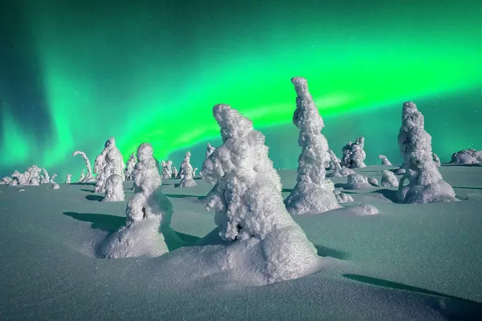 Framed Print : Souce trees covered in snowand ice with Northern Lights, Riisitunturi National Park, Lapland, Finland