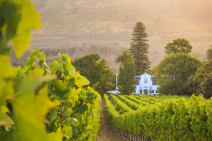 Framed Print : South Africa, Western Cape, Constantia, Buitenverwachting Wine Farm Framed Print : South Africa, Western Cape, Constantia, Buitenverwachting Wine Farm
