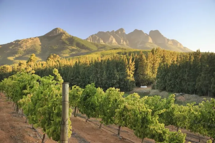 Framed Print : South Africa, Western Cape, Paarl, Doolhof Wine Estate