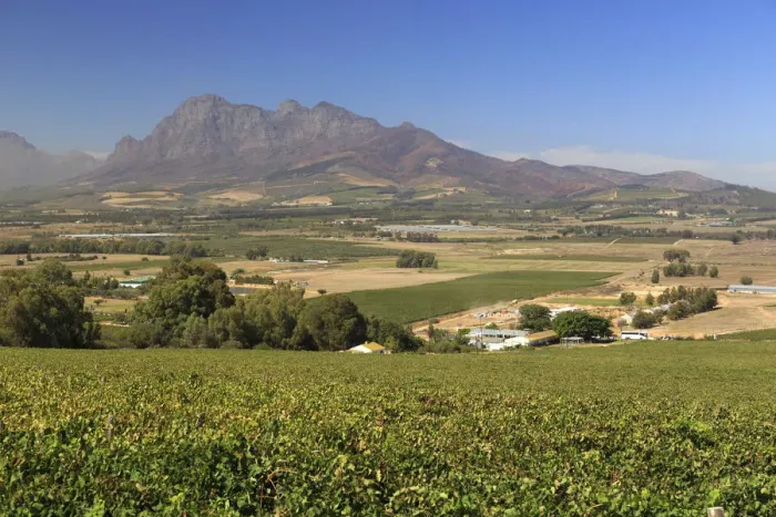 Framed Print : South Africa, Western Cape, Paarl, Fairview Wine Estate