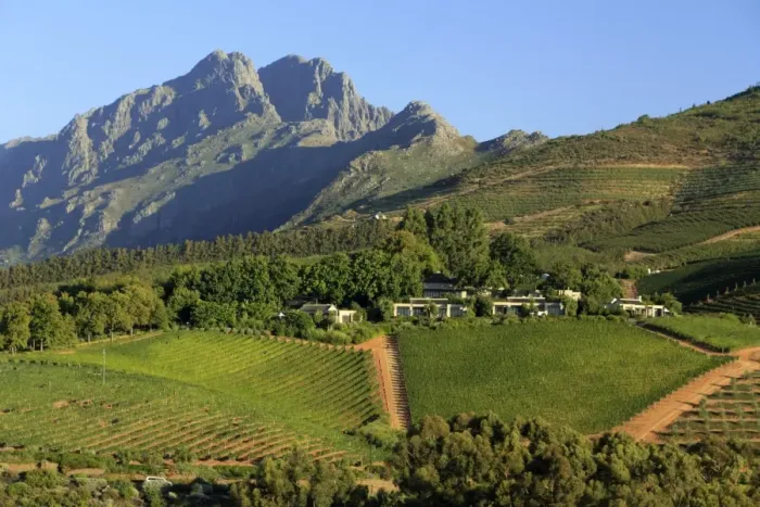 Framed Print : South Africa, Western Cape, Stellenbosch, Tokara Wine Estate Framed Print : South Africa, Western Cape, Stellenbosch, Tokara Wine Estate