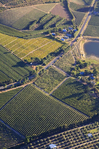 South Africa, Western Cape, Stellenbosch, Aerial view of Winelands