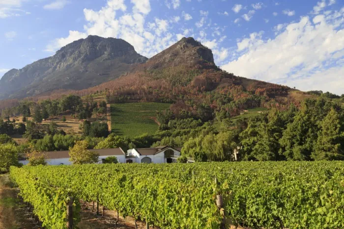 Framed Print : South Africa, Western Cape, Stellenbosch, Zorgvliet Wine Estate Framed Print : South Africa, Western Cape, Stellenbosch, Zorgvliet Wine Estate