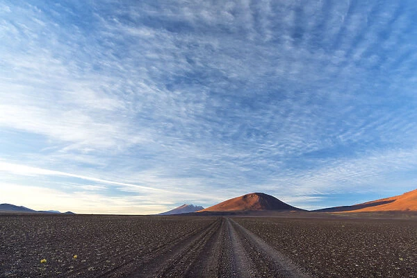 South America, Andes, Altiplano, Bolivia, track in southwestern Bolivia