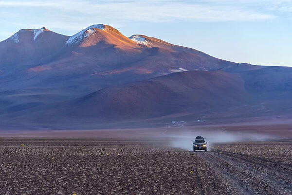 South America, Andes, Altiplano, Bolivia