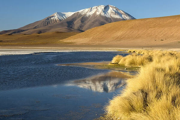 South America, Andes, Altiplano, Bolivia, Laguna Hedionda with OllagAoe Volcano in