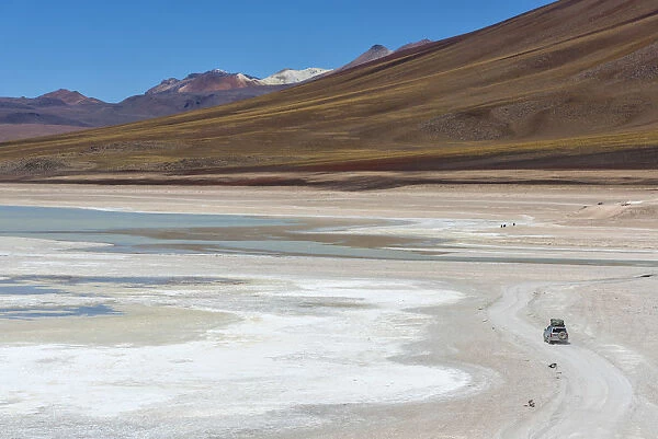 South America, Andes, Altiplano, Bolivia, Laguna Verde
